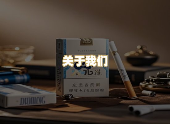 关于我们